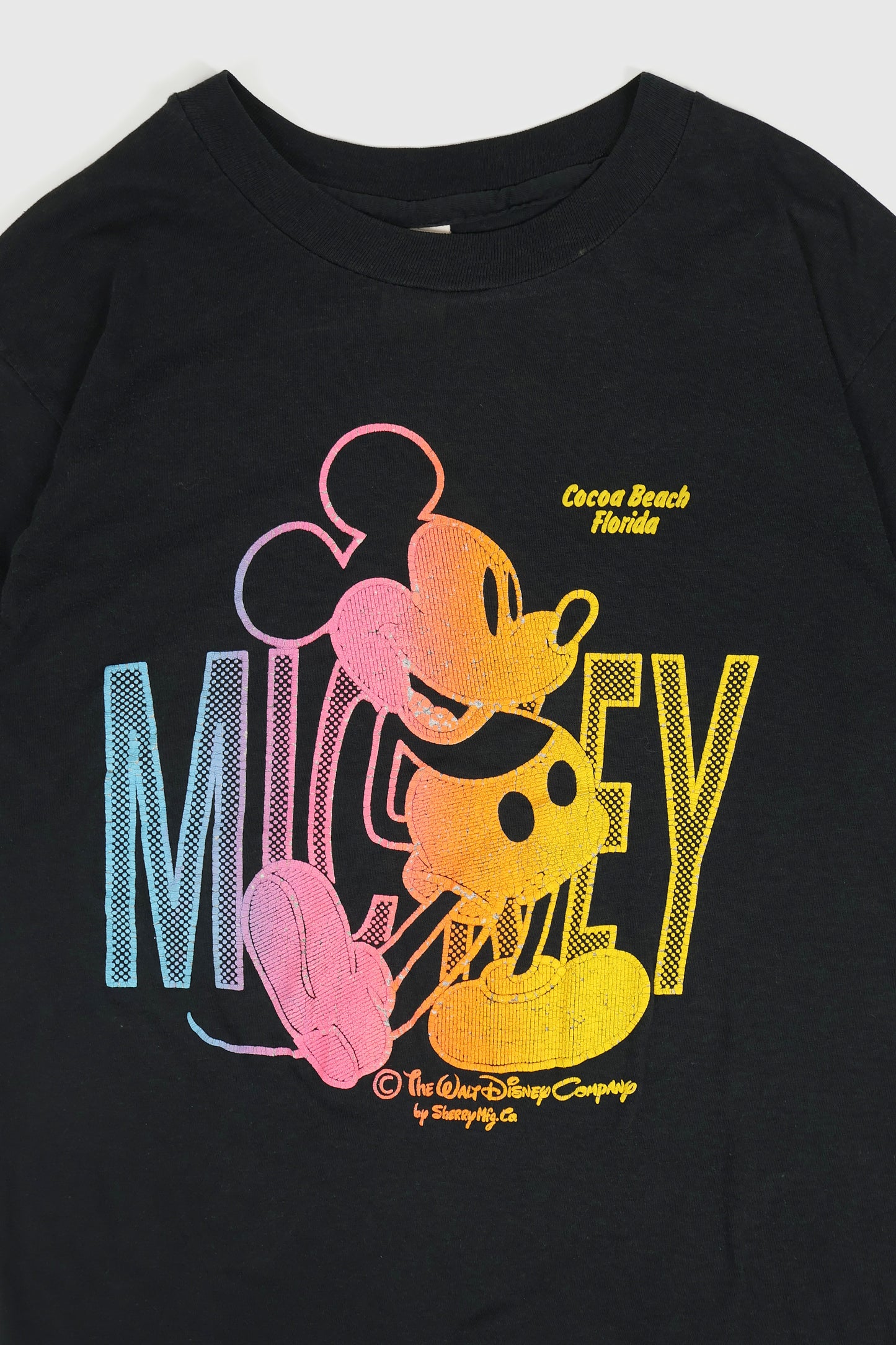 Vintage Mickey Florida Tee