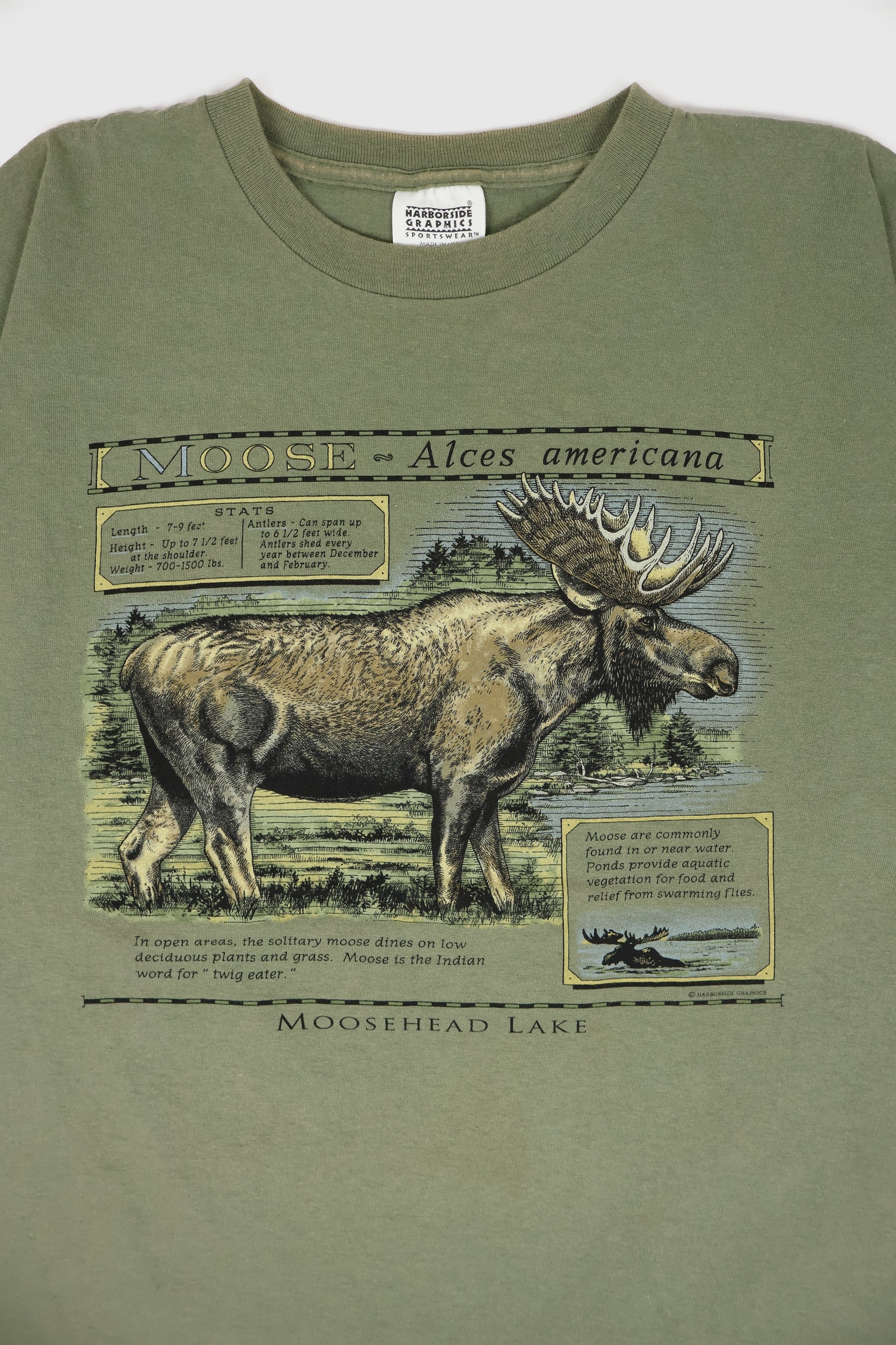 Vintage Moosehead Lake Tee Image 1