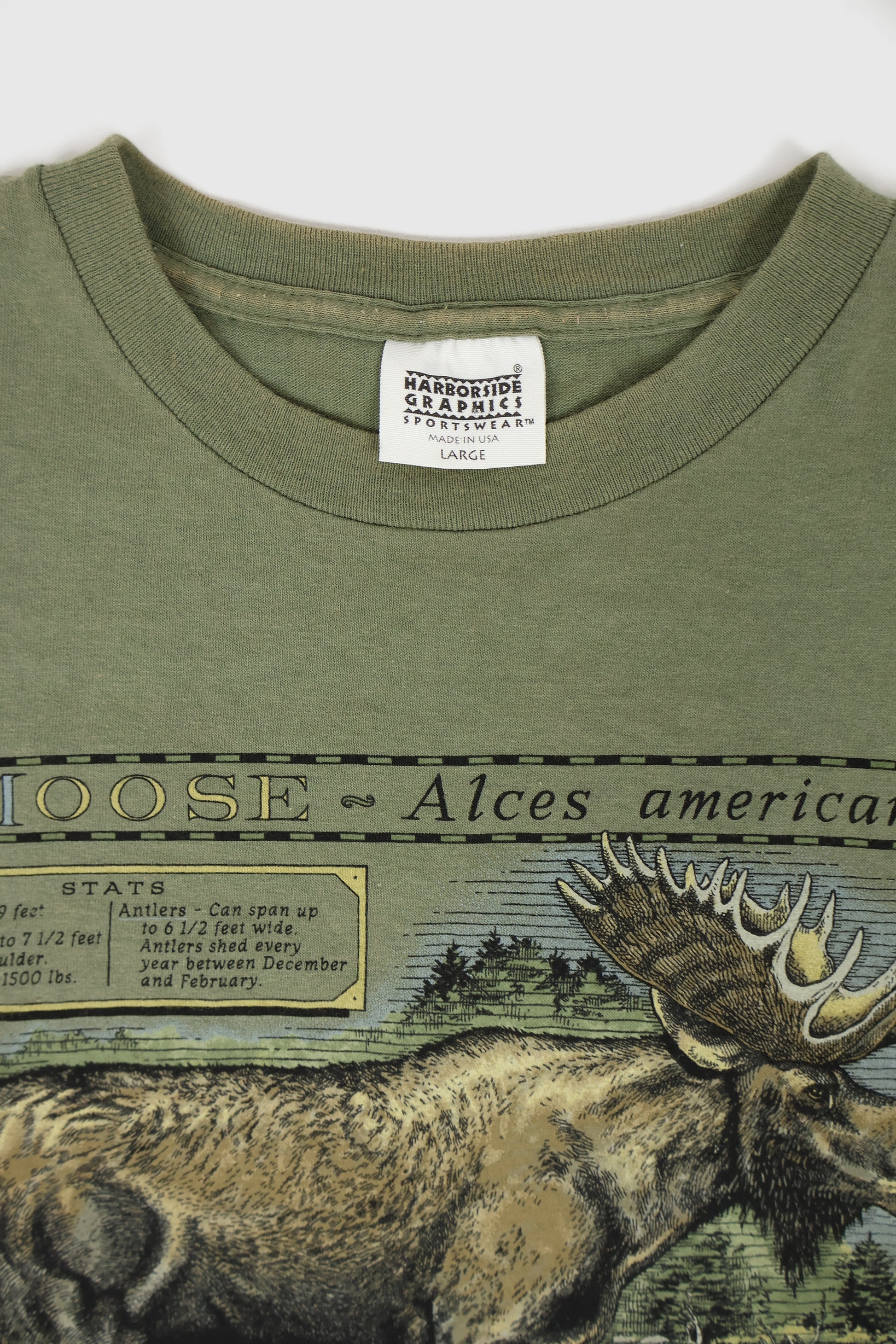 Vintage Moosehead Lake Tee Image 2