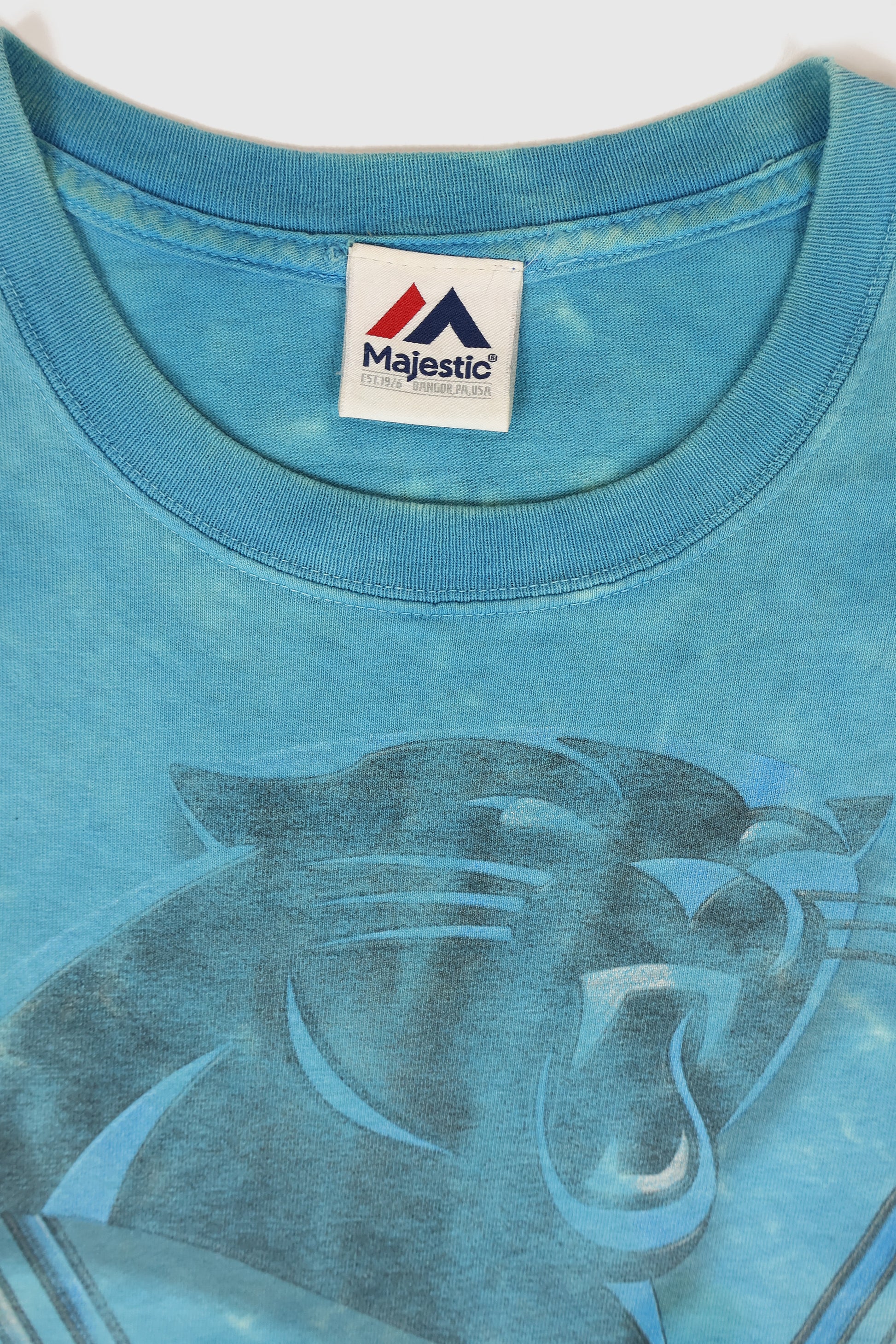 Vintage Carolina Panthers Tee Image 3