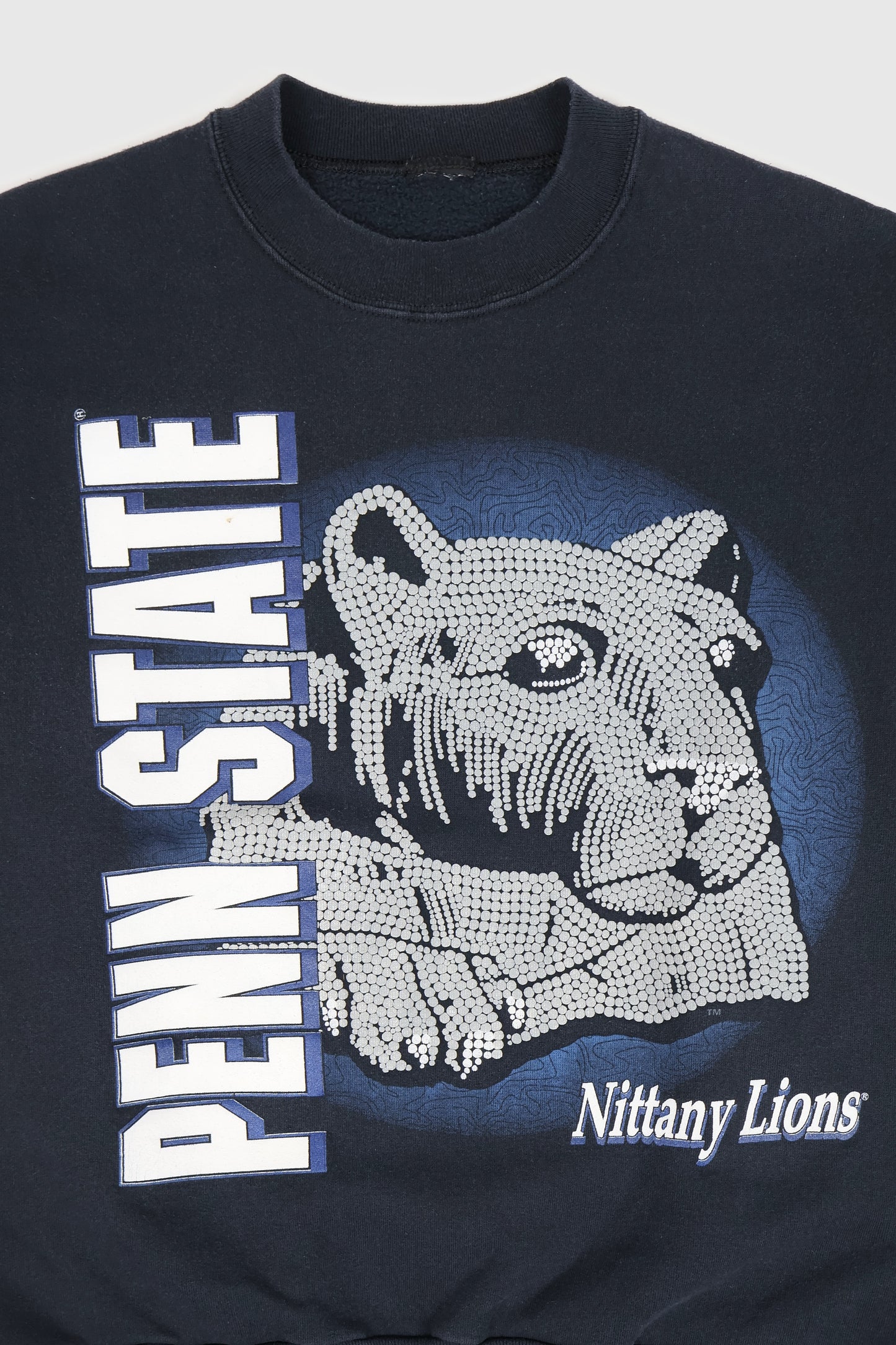 Vintage Penn State Nittany Lions Crewneck Image 1