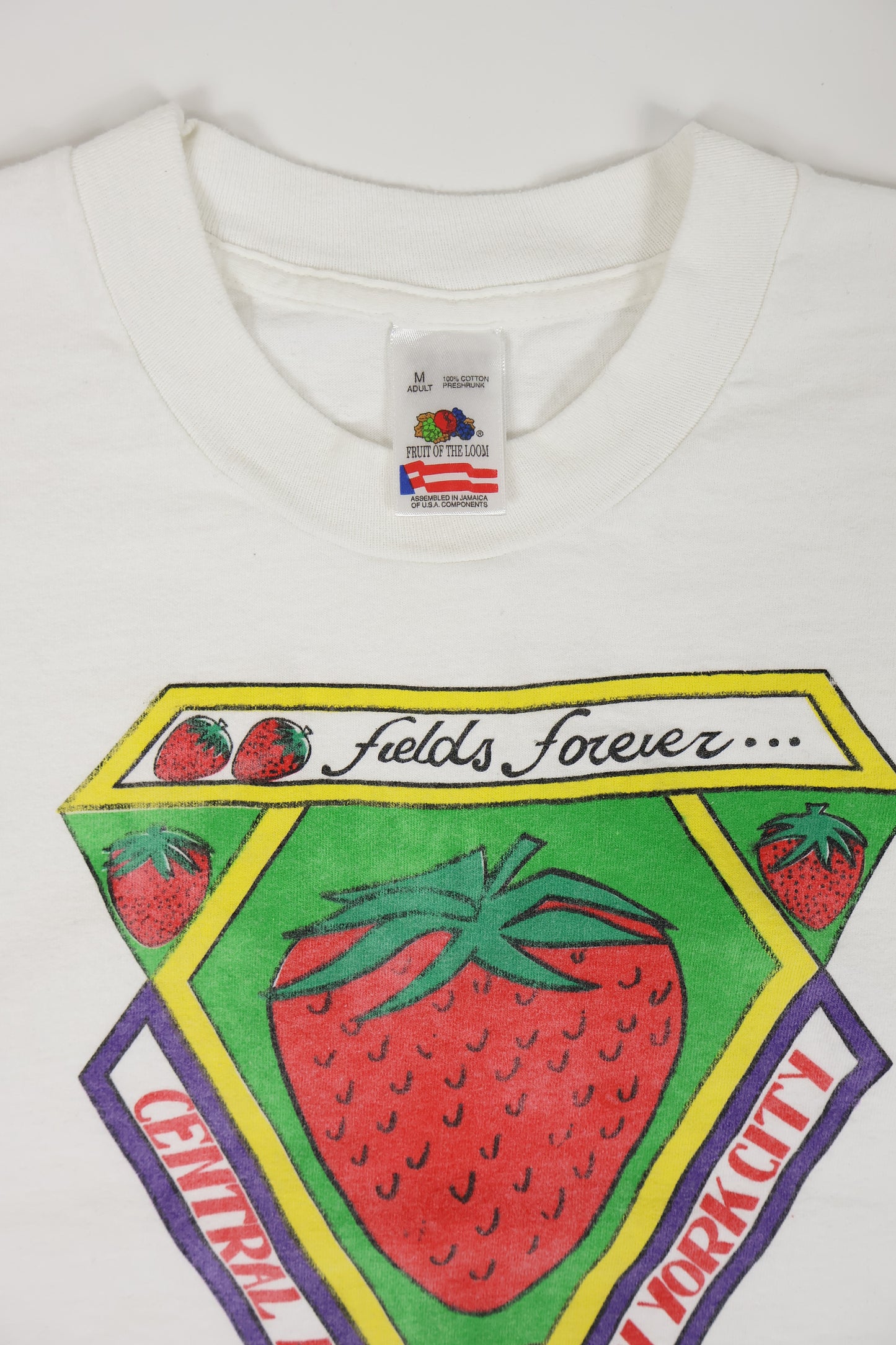 Vintage Central Park Strawberry Fields Tee Image 2