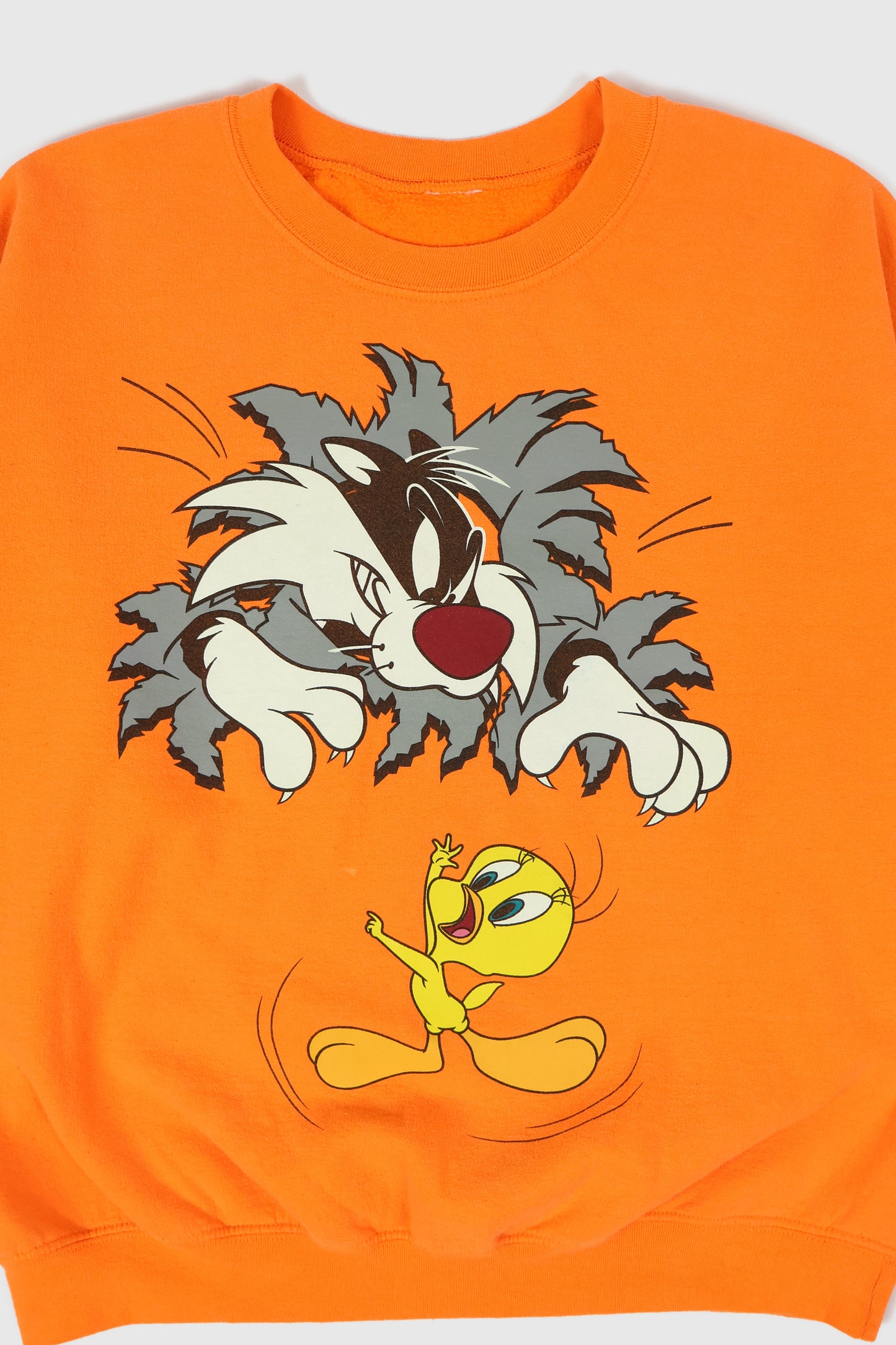 Vintage Sylvester and Tweety Crewneck Image 1