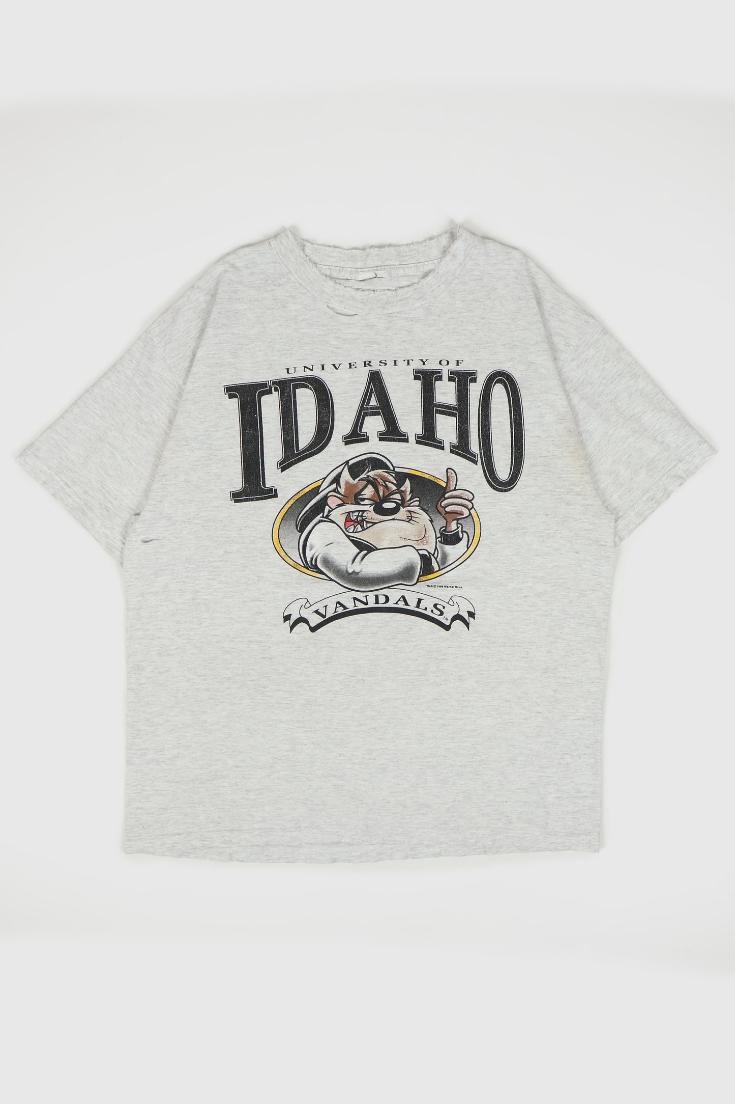 Vintage Distressed Taz University of Idaho Tee