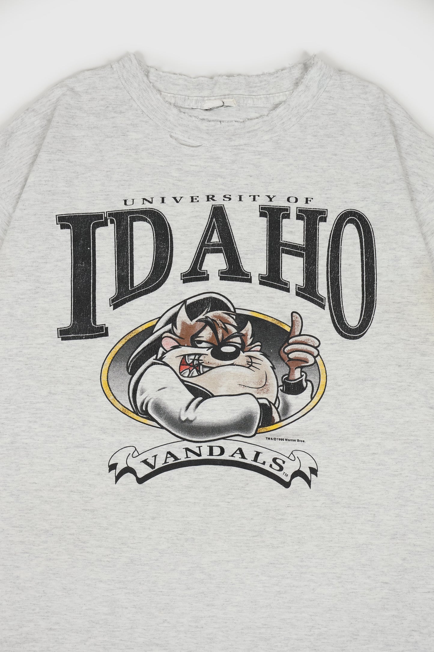 Vintage Distressed Taz University of Idaho Tee