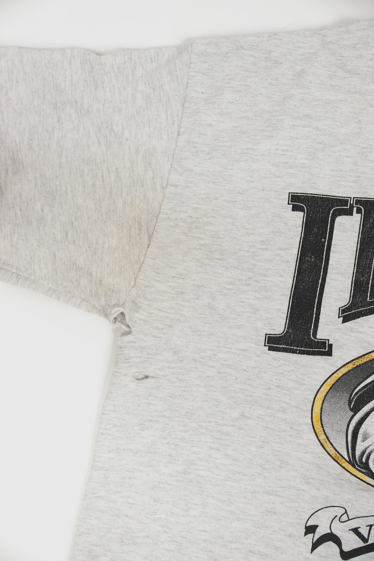 Vintage Distressed Taz University of Idaho Tee