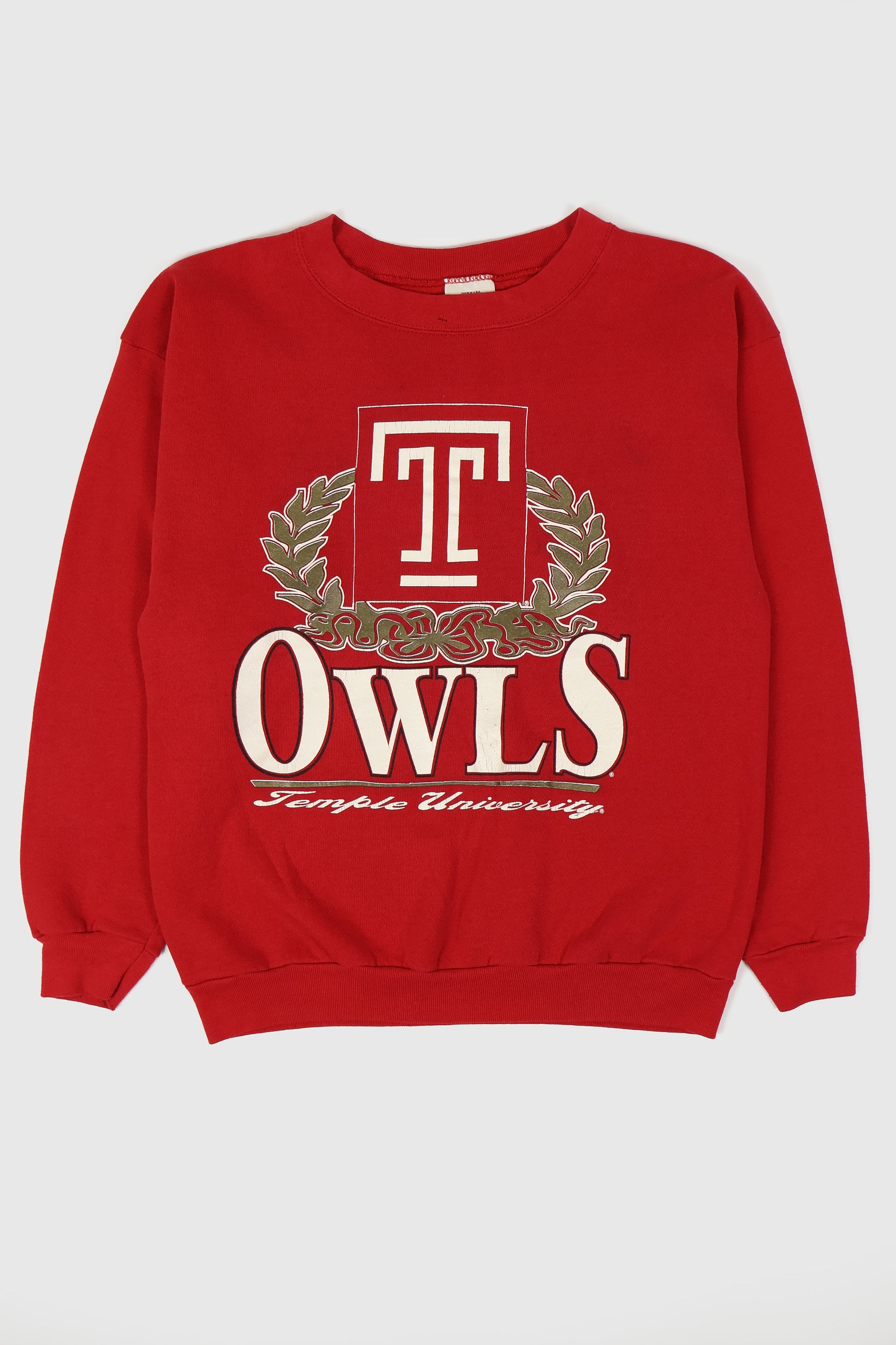 Vintage Temple Owls Crewneck Image 0