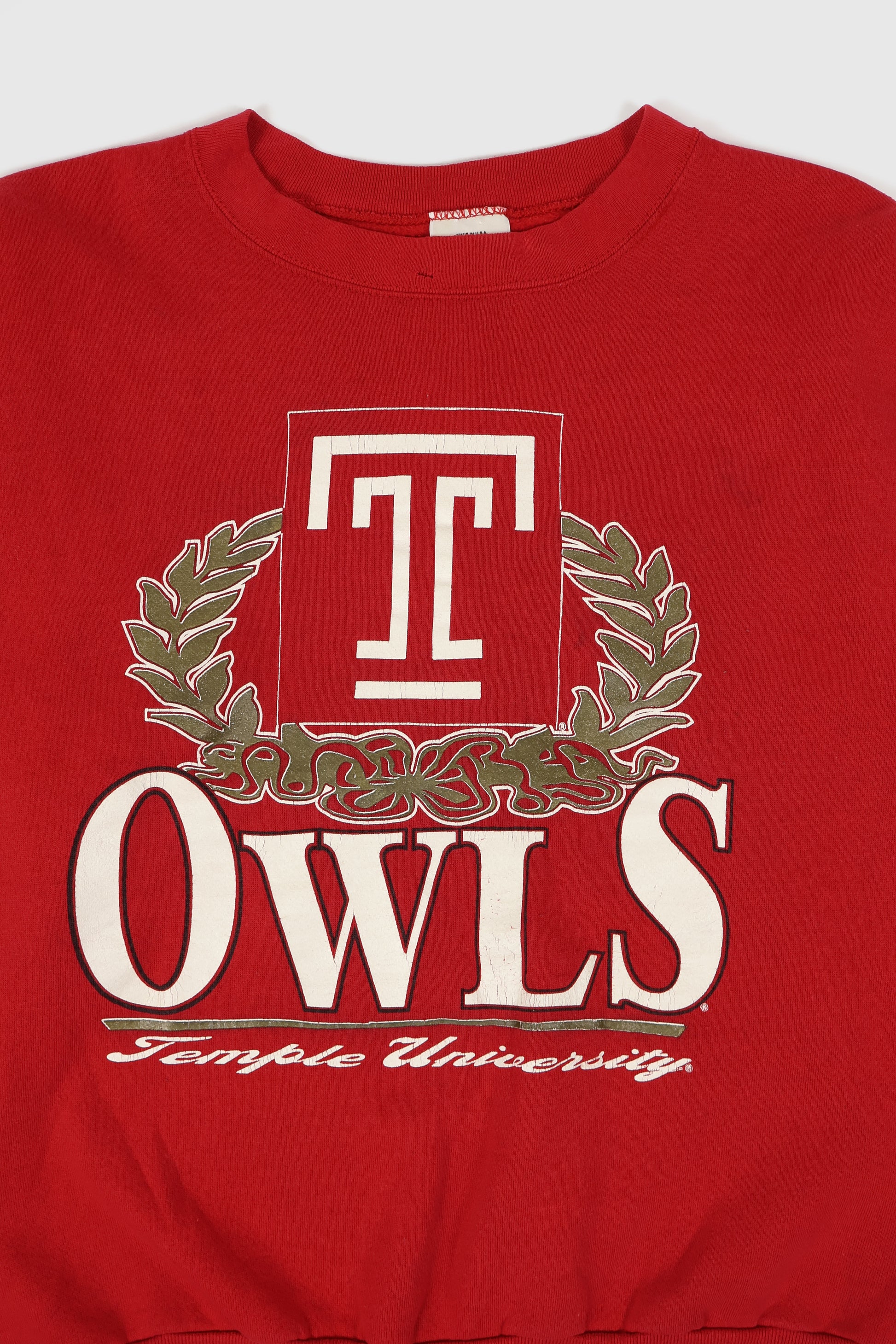 Vintage Temple Owls Crewneck Image 1