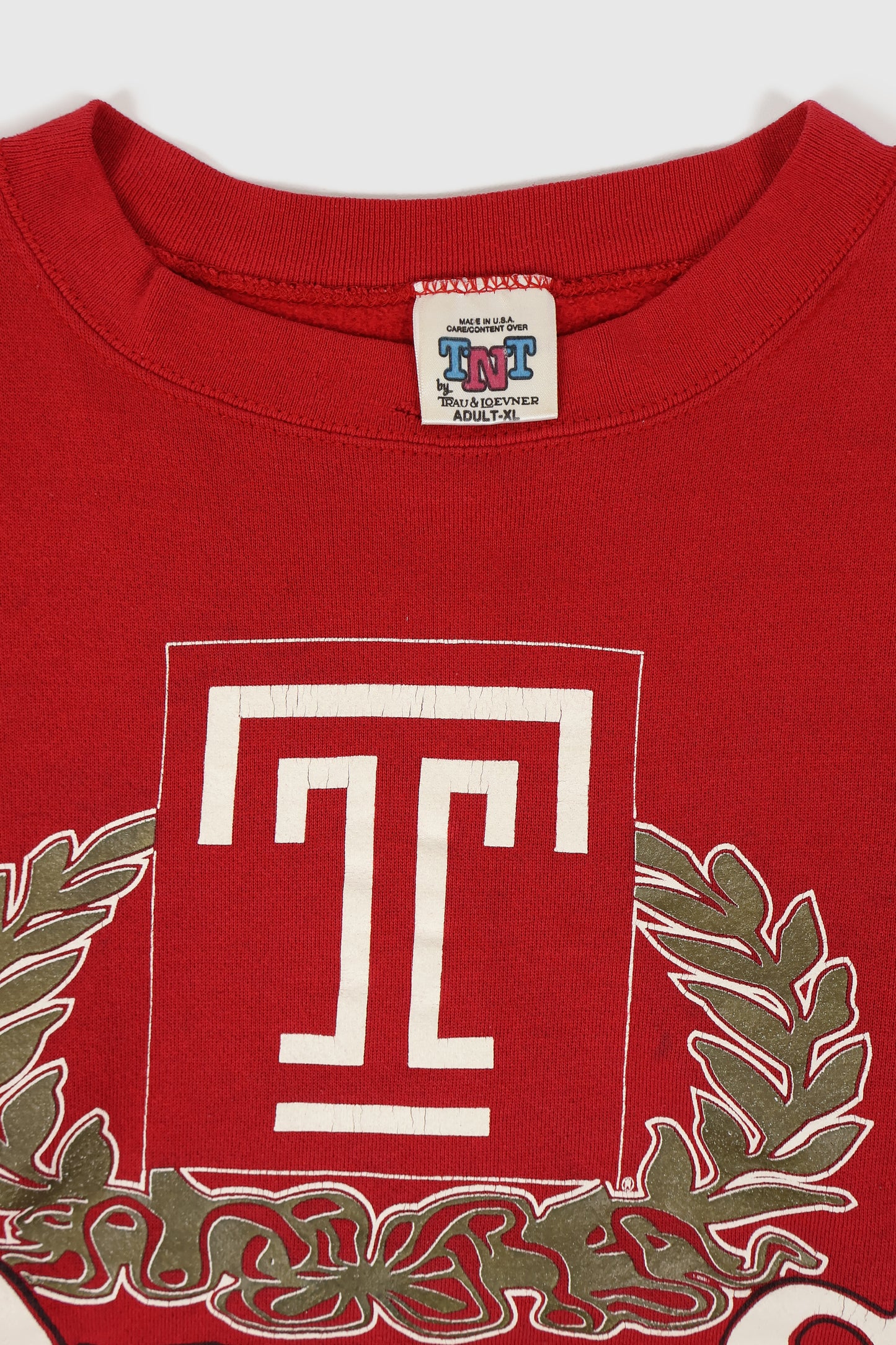 Vintage Temple Owls Crewneck Image 2