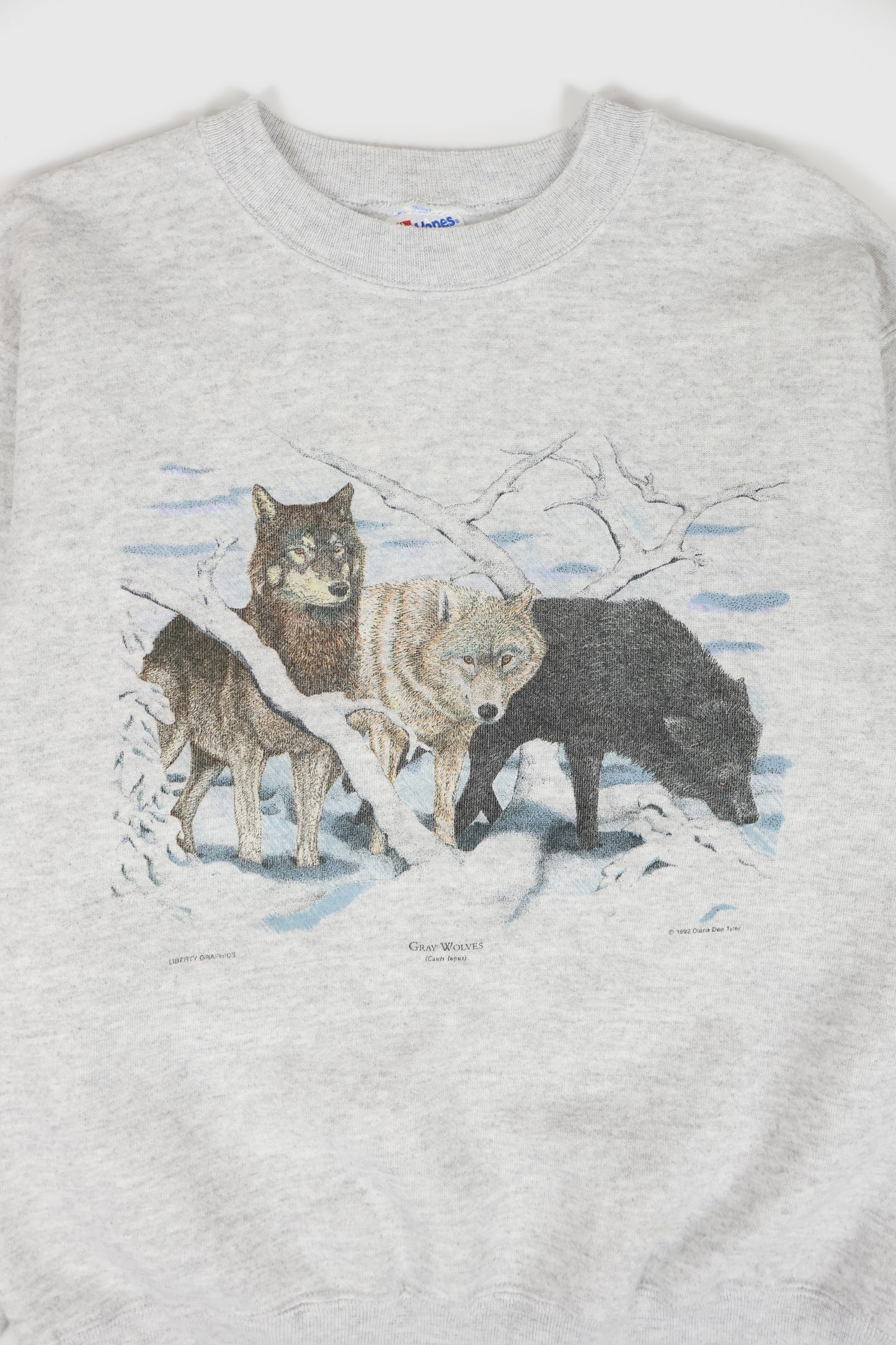 Vintage Wolf Crewneck Image 1